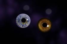 JOSÉ MANUEL PACHECO - JOSE MANUEL PACHECO