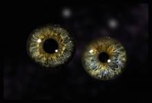 JOSÉ MANUEL PACHECO - JOSE MANUEL PACHECO