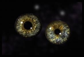 JOSÉ MANUEL PACHECO - JOSE MANUEL PACHECO